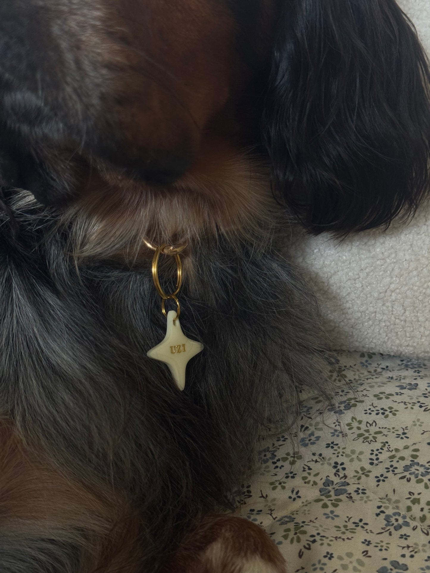 Co-création Polaris X Uzi avec amour : Beurre salé