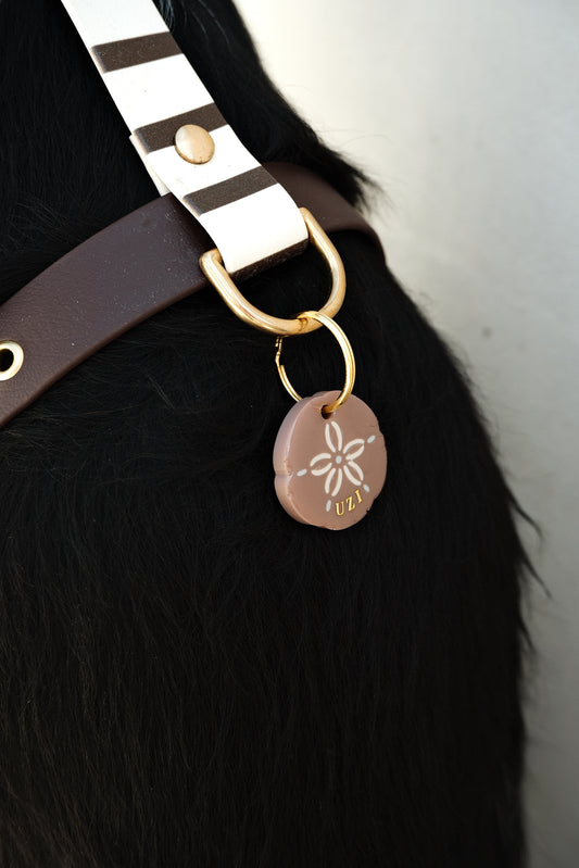 Médaille Sand dollar brown