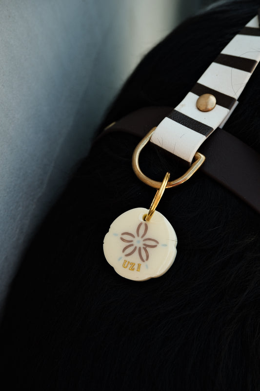 Médaille Sand dollar butter yellow