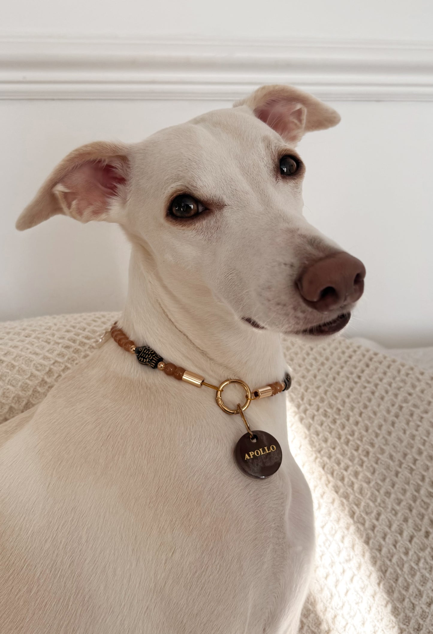 Low Tide Medallion Necklace - Aura Necklaces