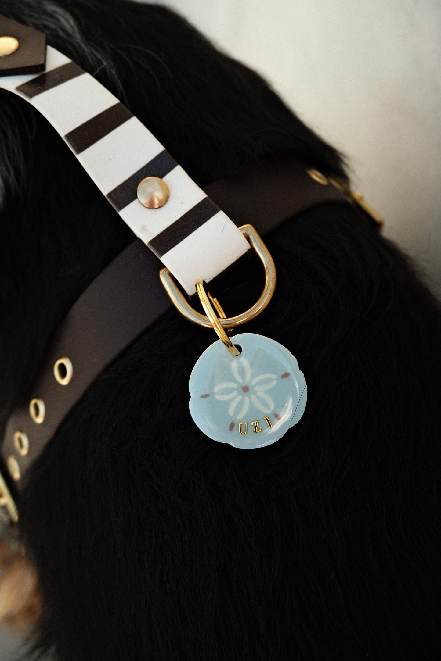 Médaille Sand dollar baby blue
