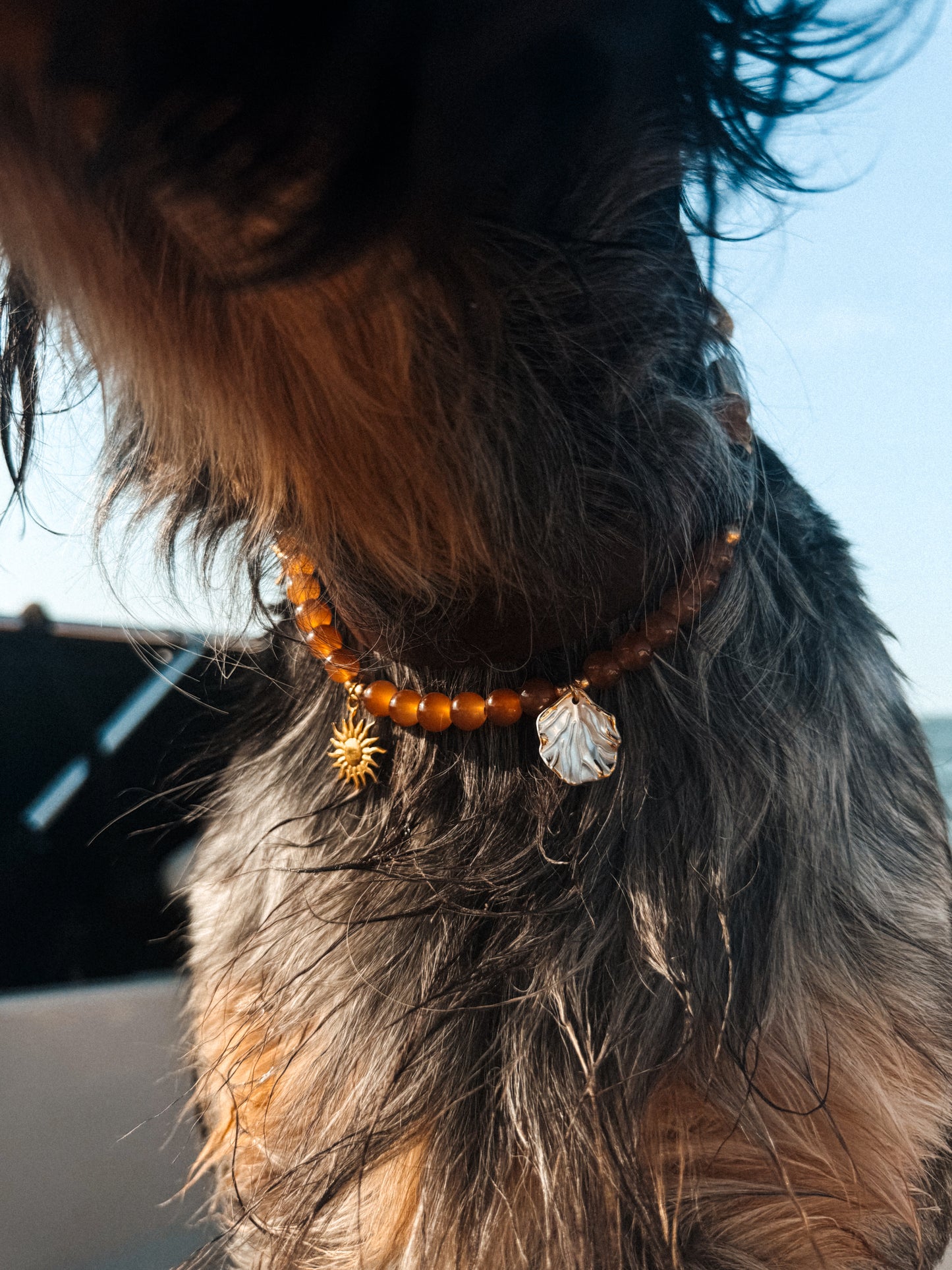 Low Tide Medallion Necklace - Aura Necklaces