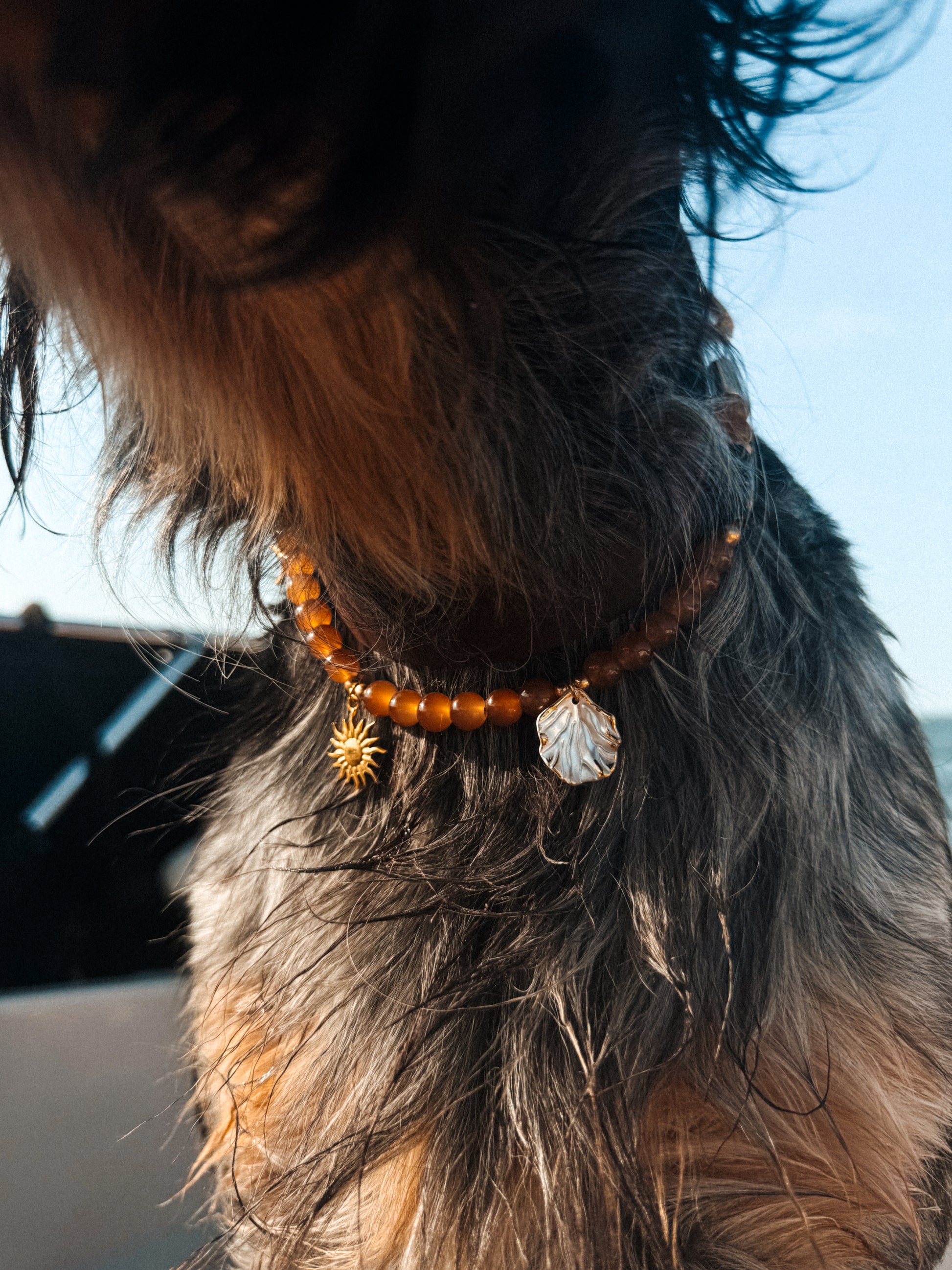 Collier porte médaille Marée Basse - Aura Necklaces
