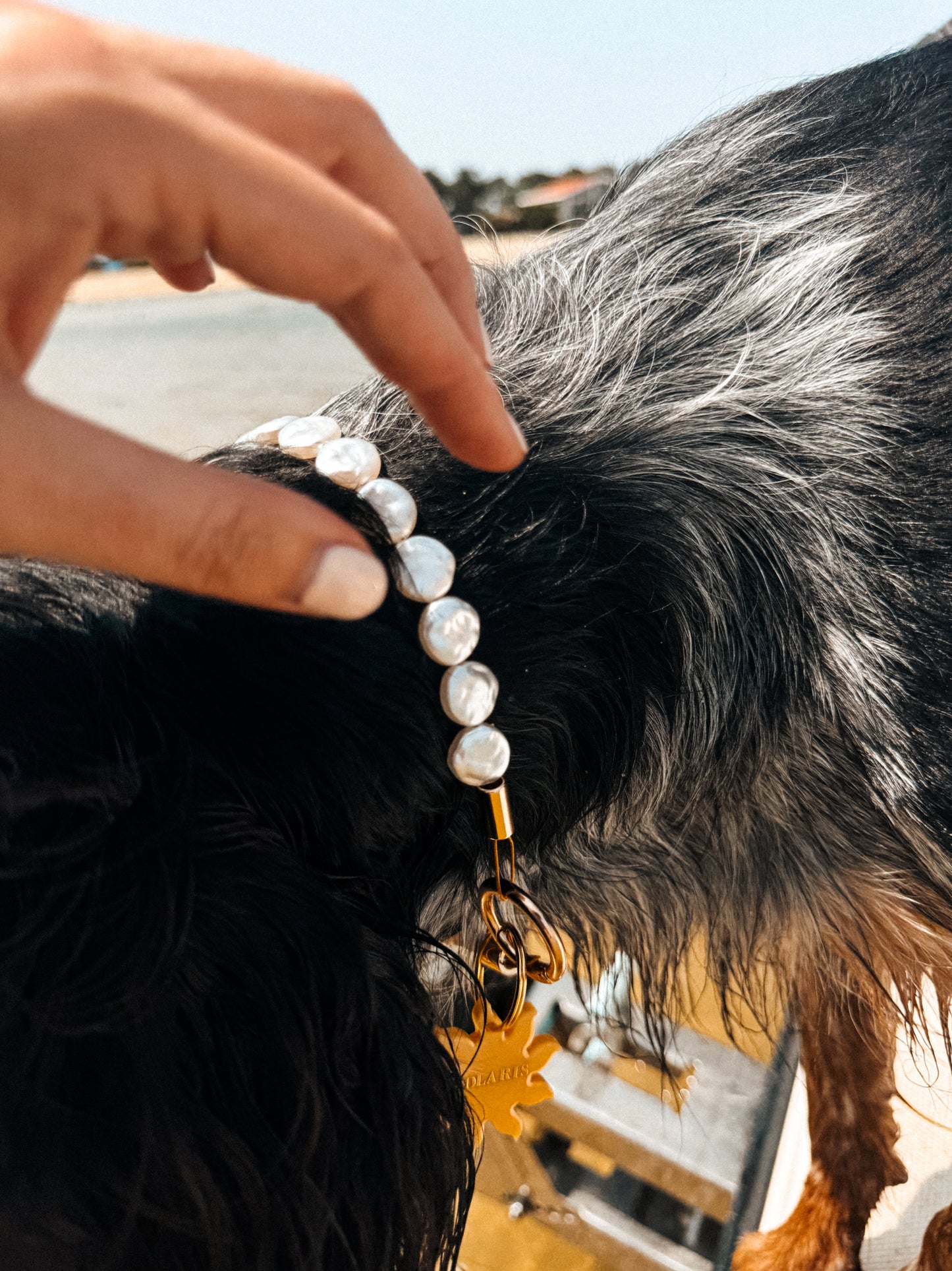 Collier porte médaille Isla- Aura Necklaces