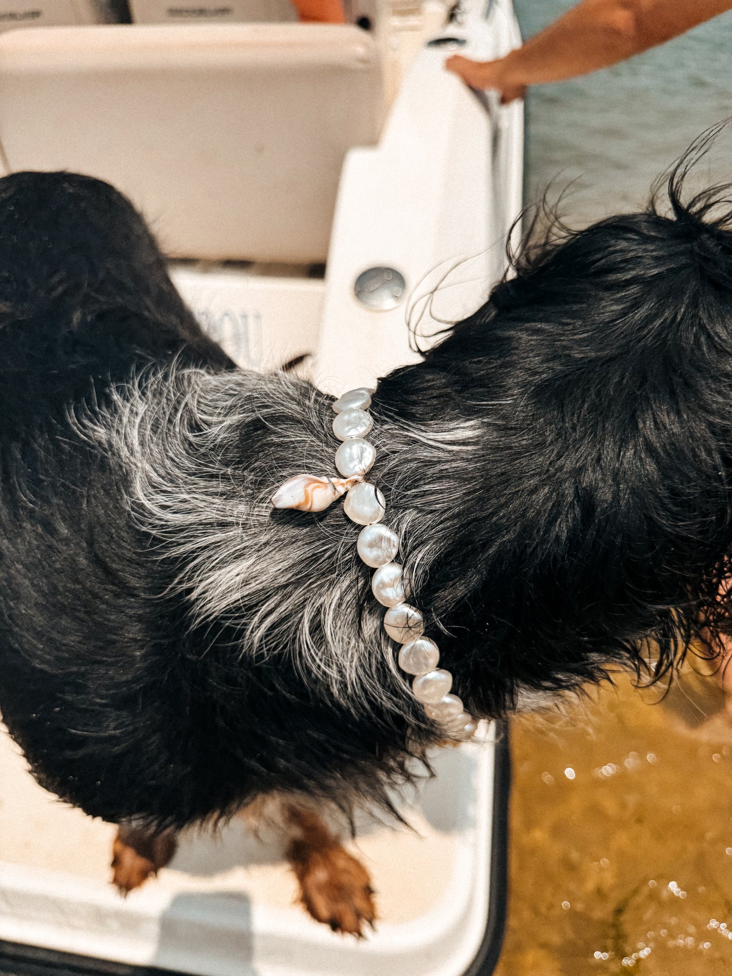 Collier porte médaille Isla- Aura Necklaces