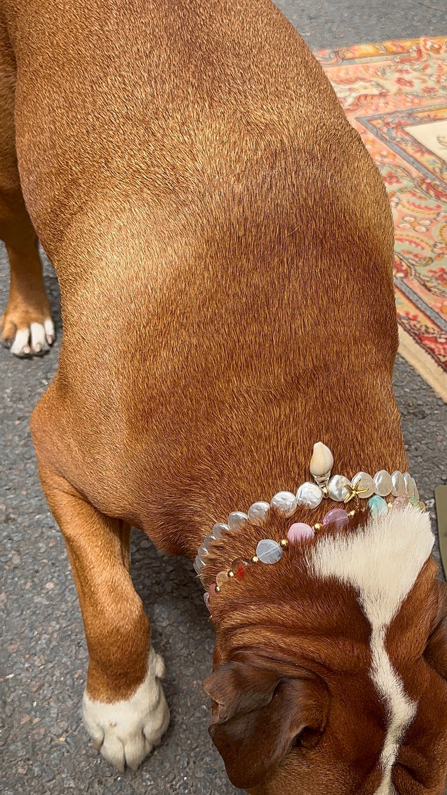 Collier porte médaille Calypso - Aura Necklaces