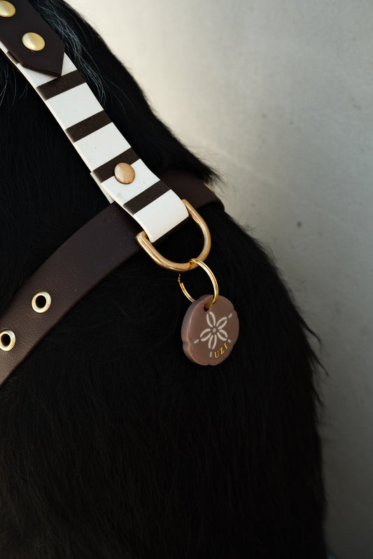 Médaille Sand dollar brown