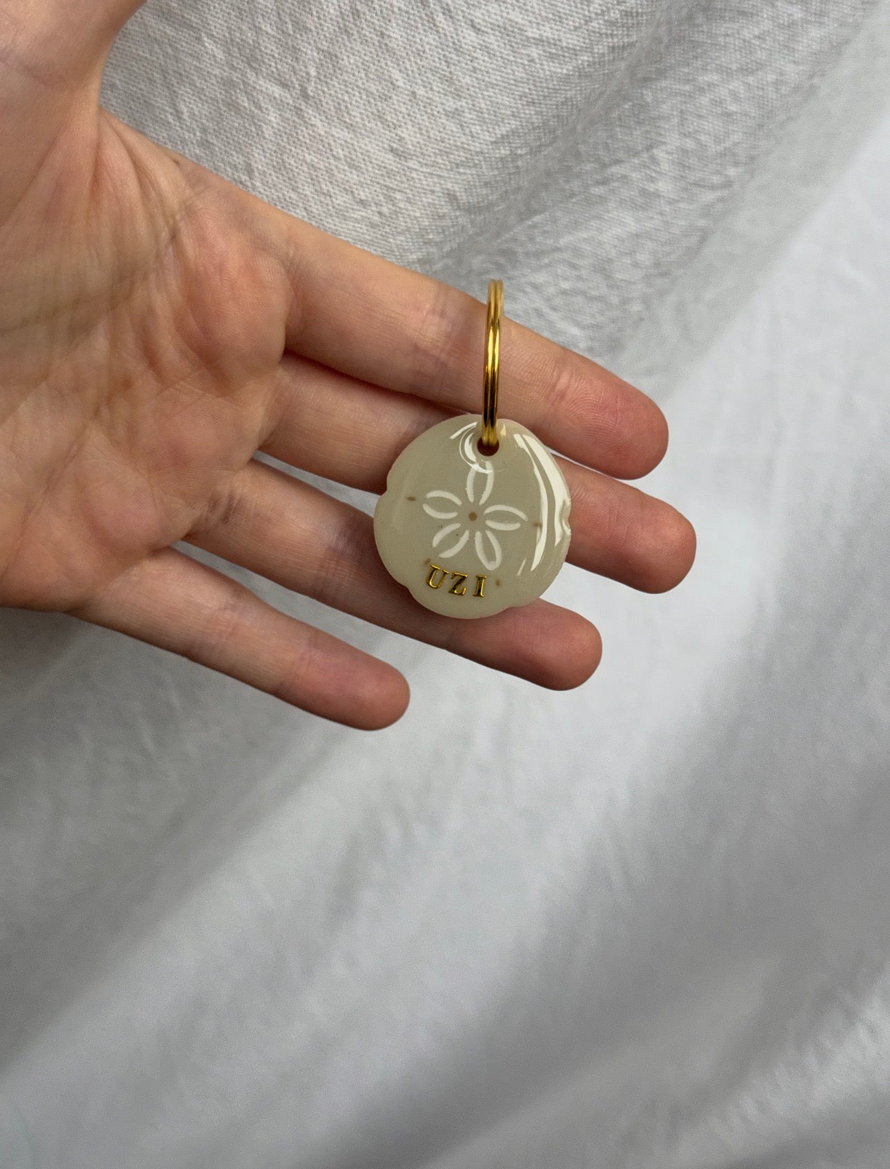 Médaille Sand dollar
