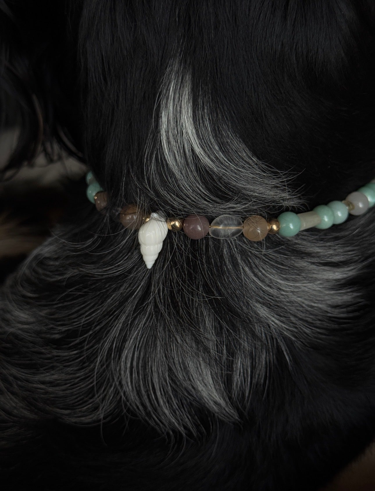 Collier porte médaille Brisa - Aura Necklaces