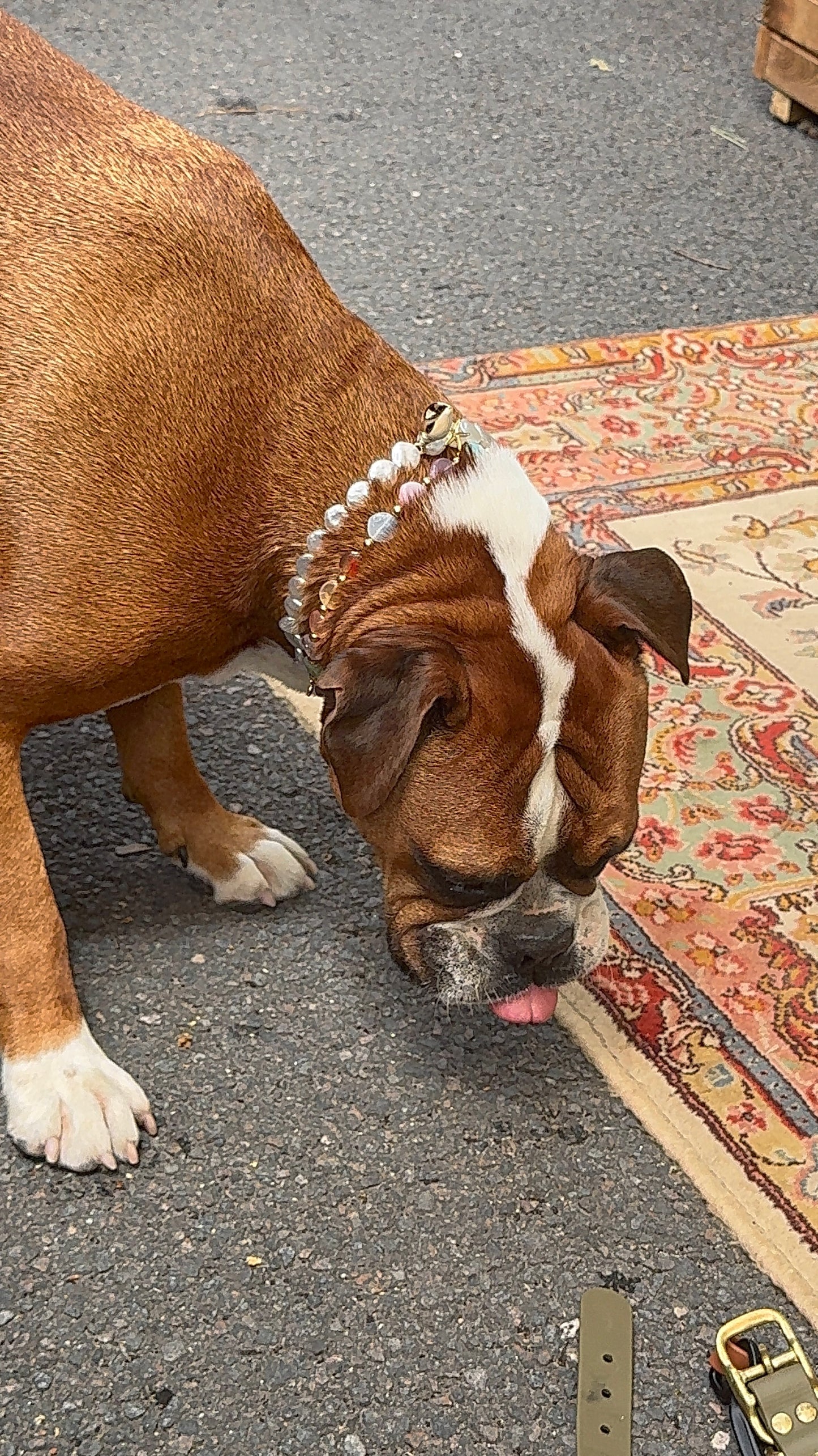 Collier porte médaille Isla- Aura Necklaces