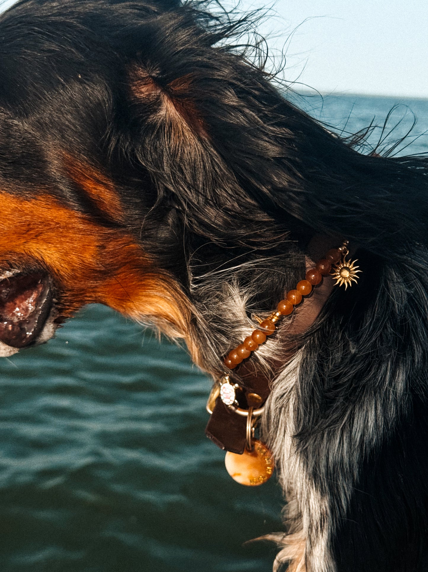 Low Tide Medallion Necklace - Aura Necklaces