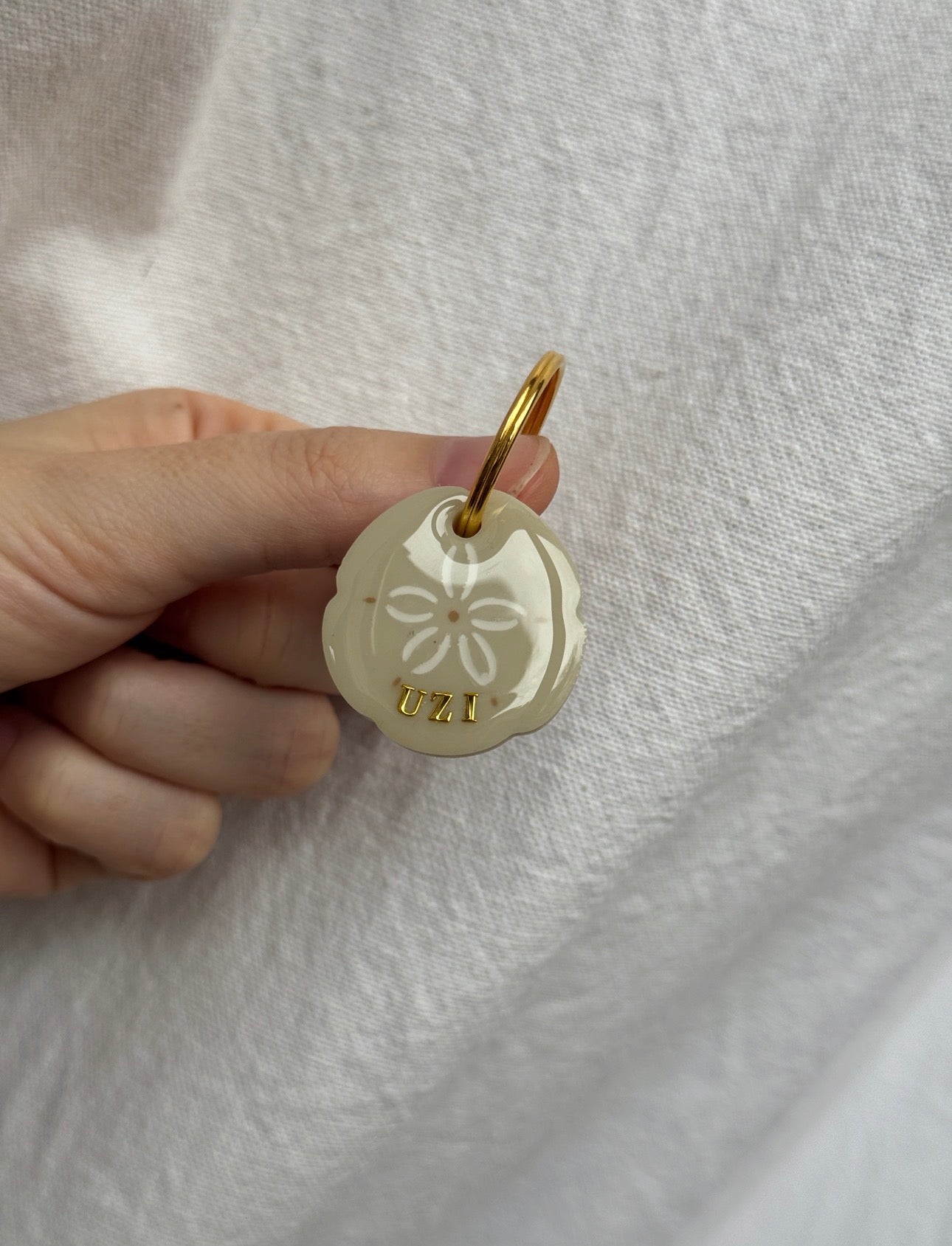 Médaille Sand dollar