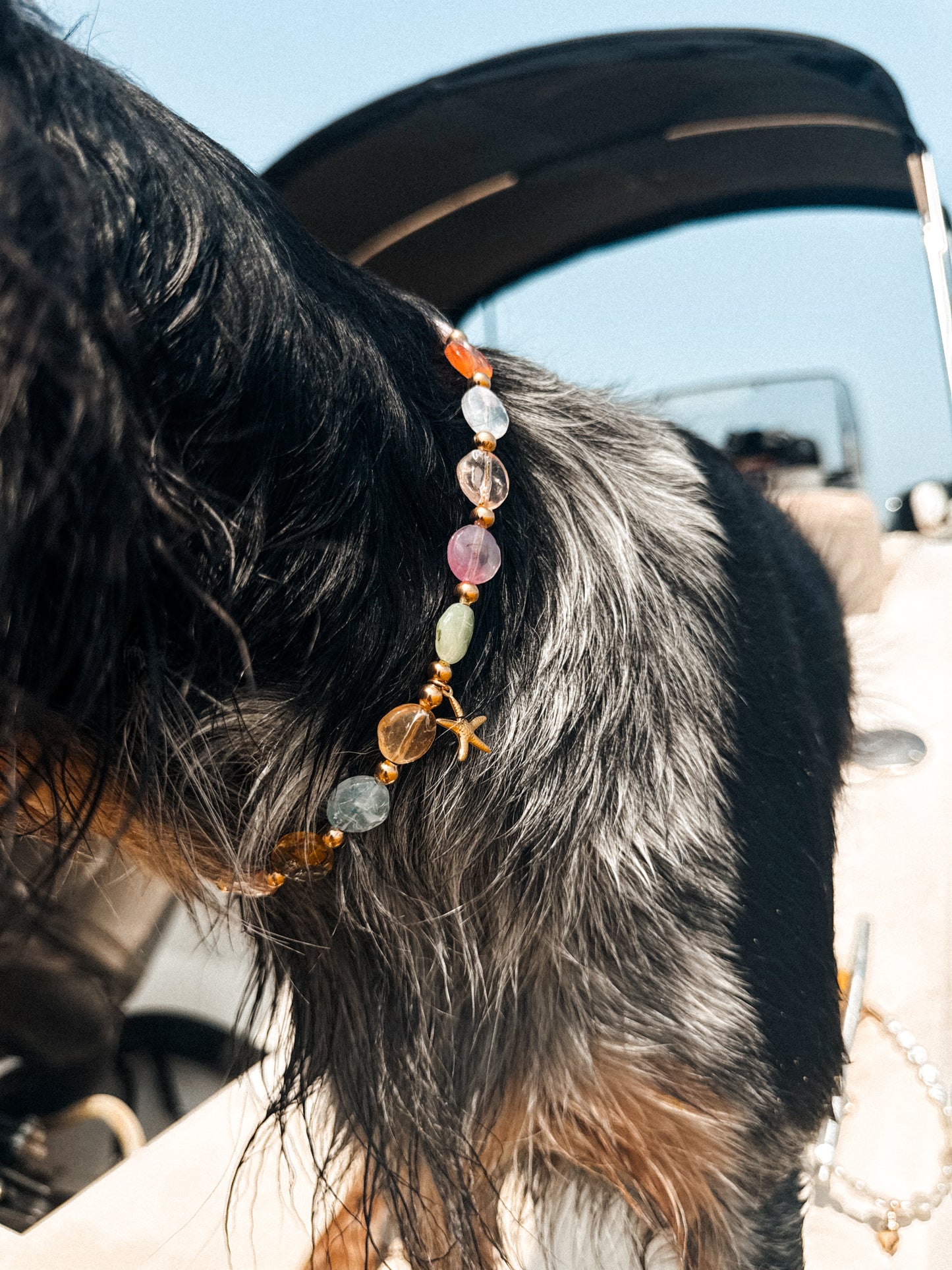 Collier porte médaille Calypso - Aura Necklaces