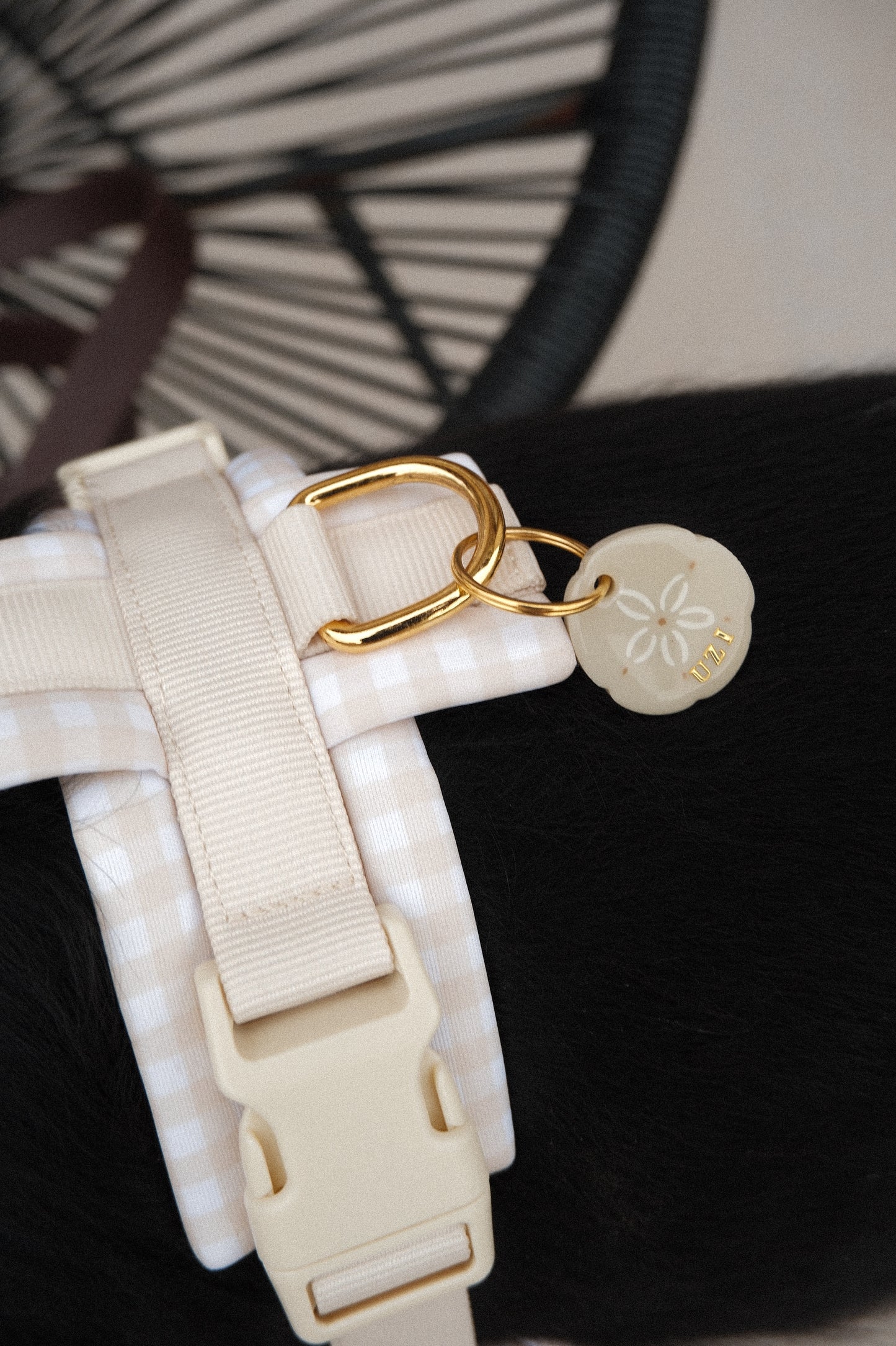 Médaille Sand dollar