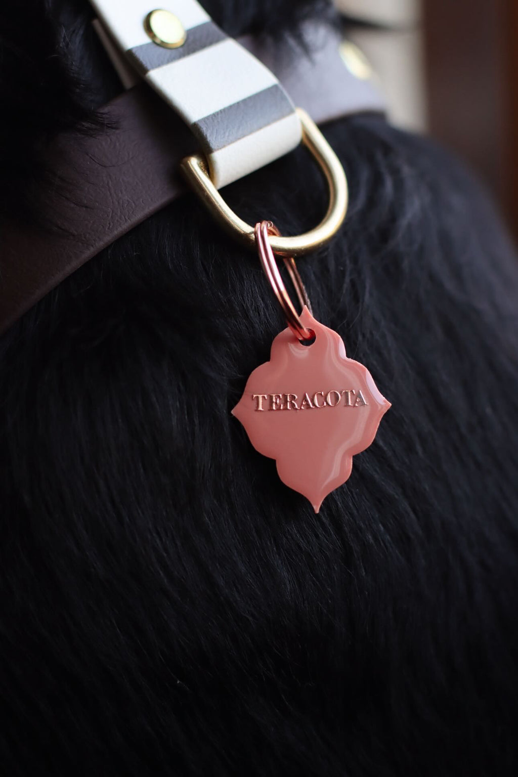 Médaille Terracotta