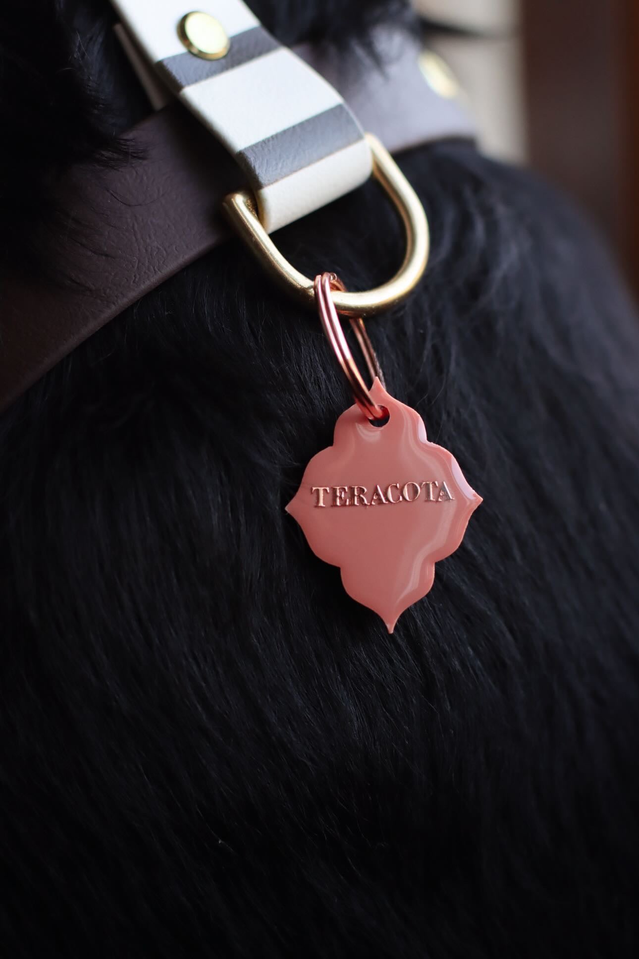 Médaille Terracotta