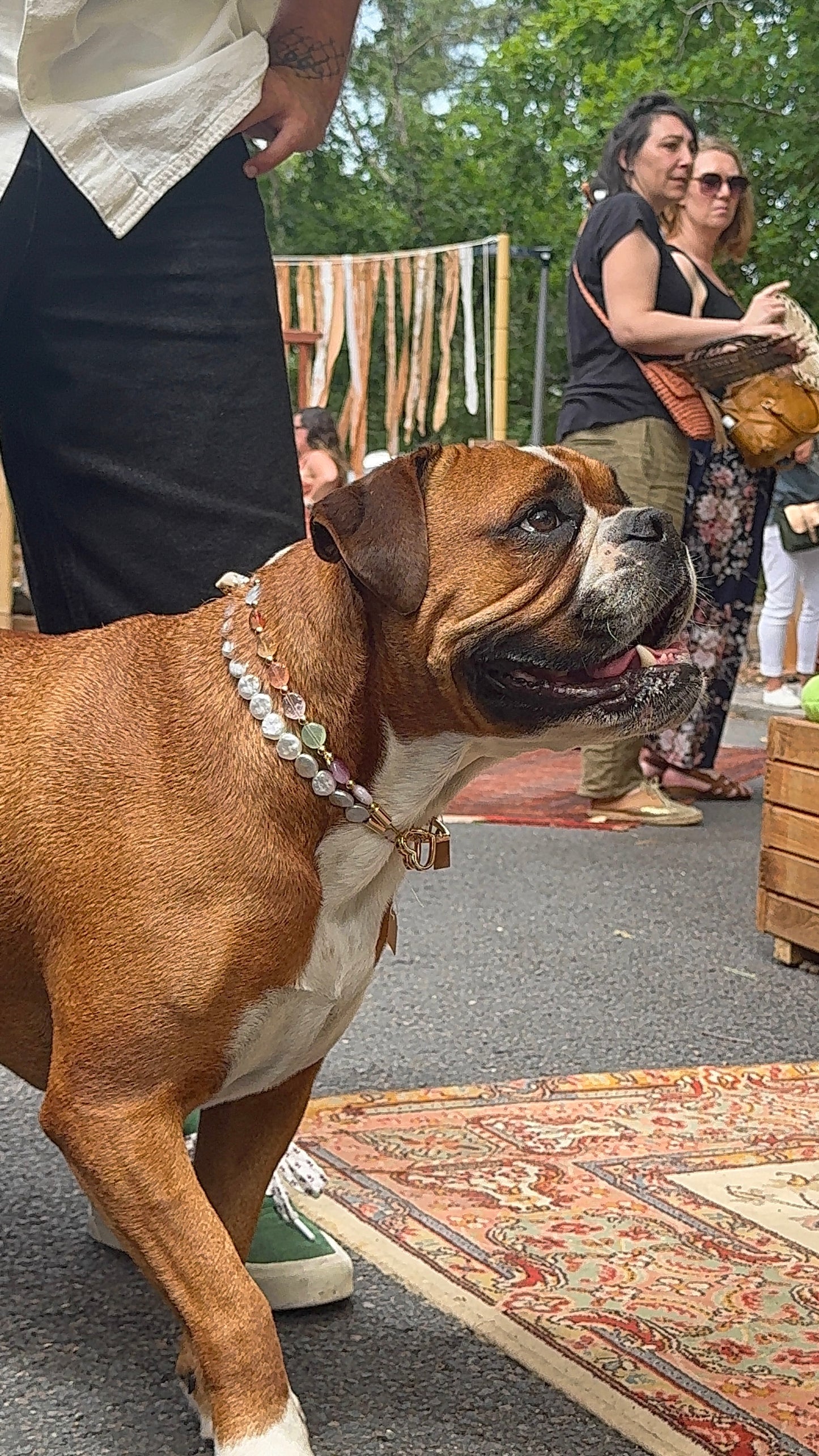Collier porte médaille Calypso - Aura Necklaces