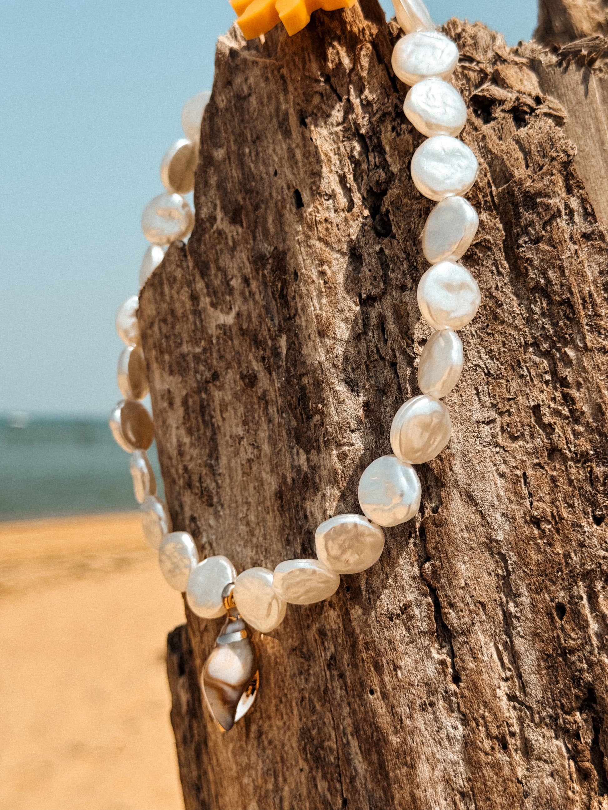 Collier porte médaille Isla- Aura Necklaces