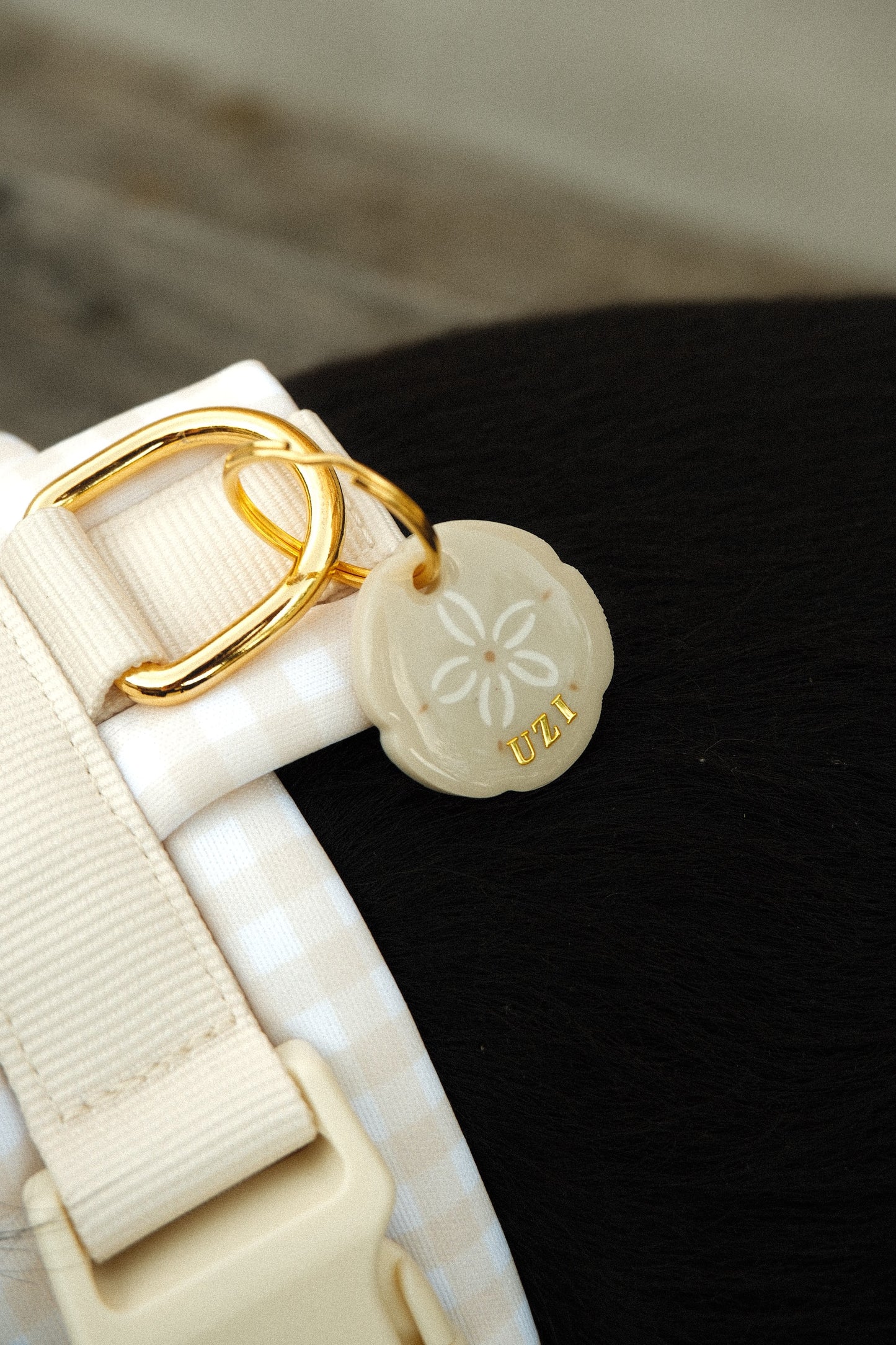 Médaille Sand dollar