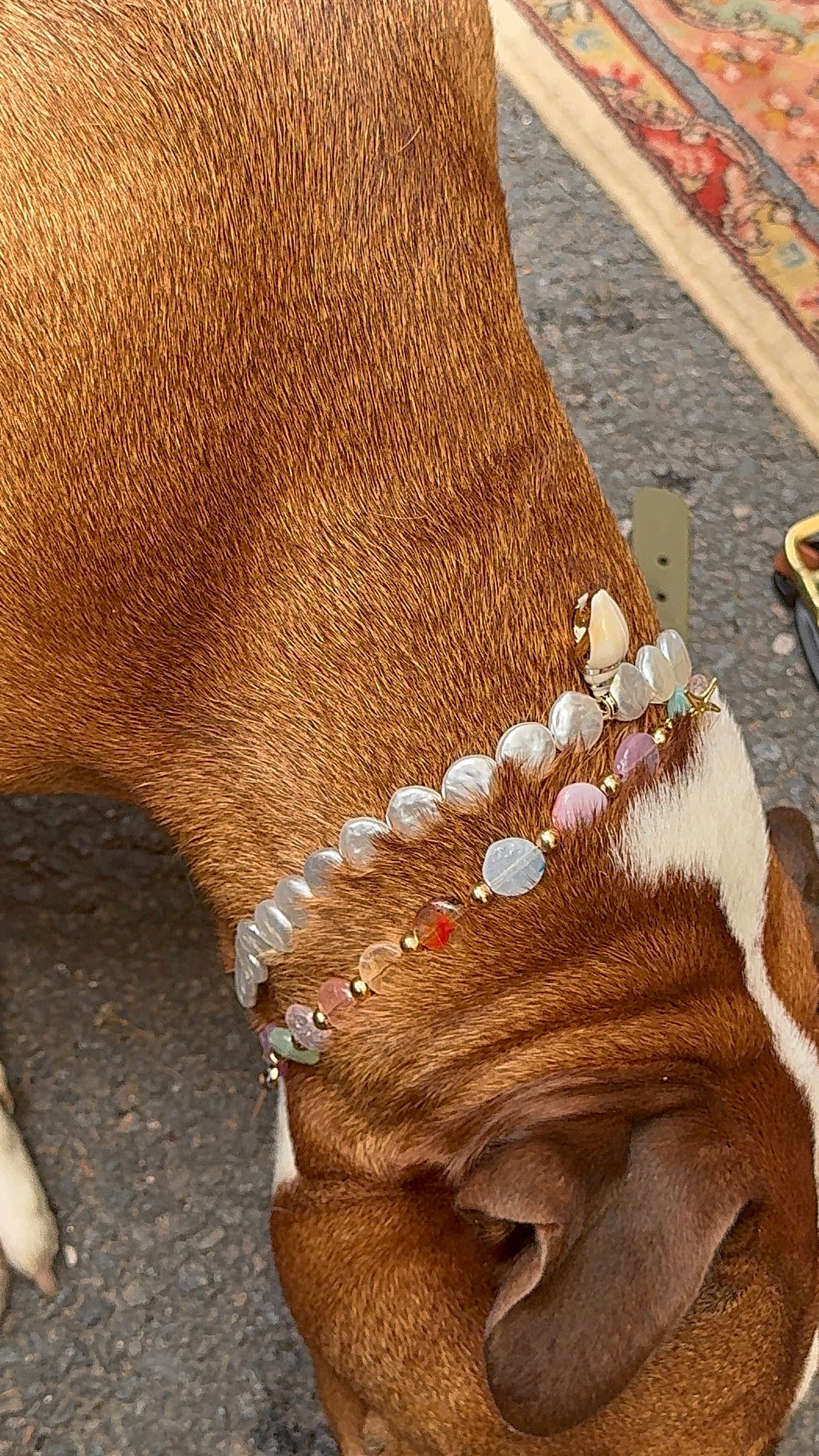 Collier porte médaille Isla- Aura Necklaces