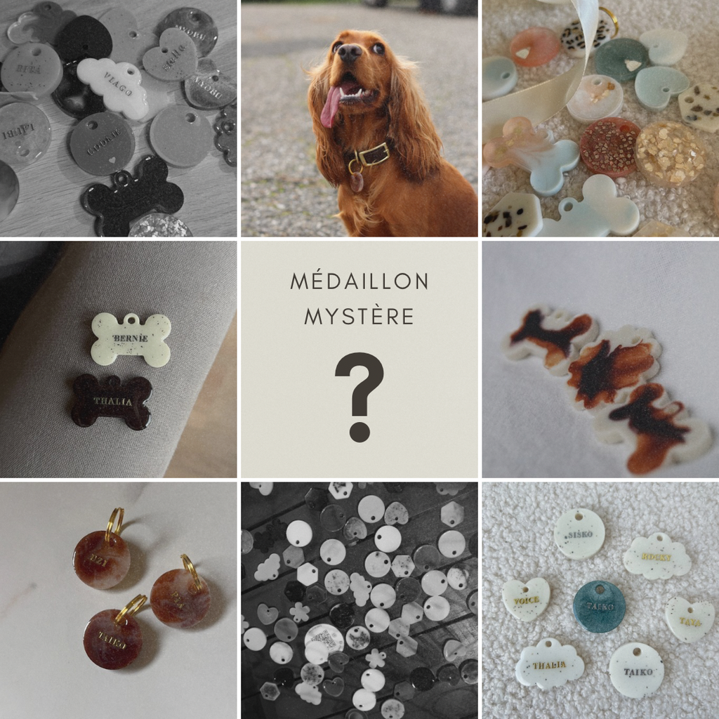Médaillon mystère