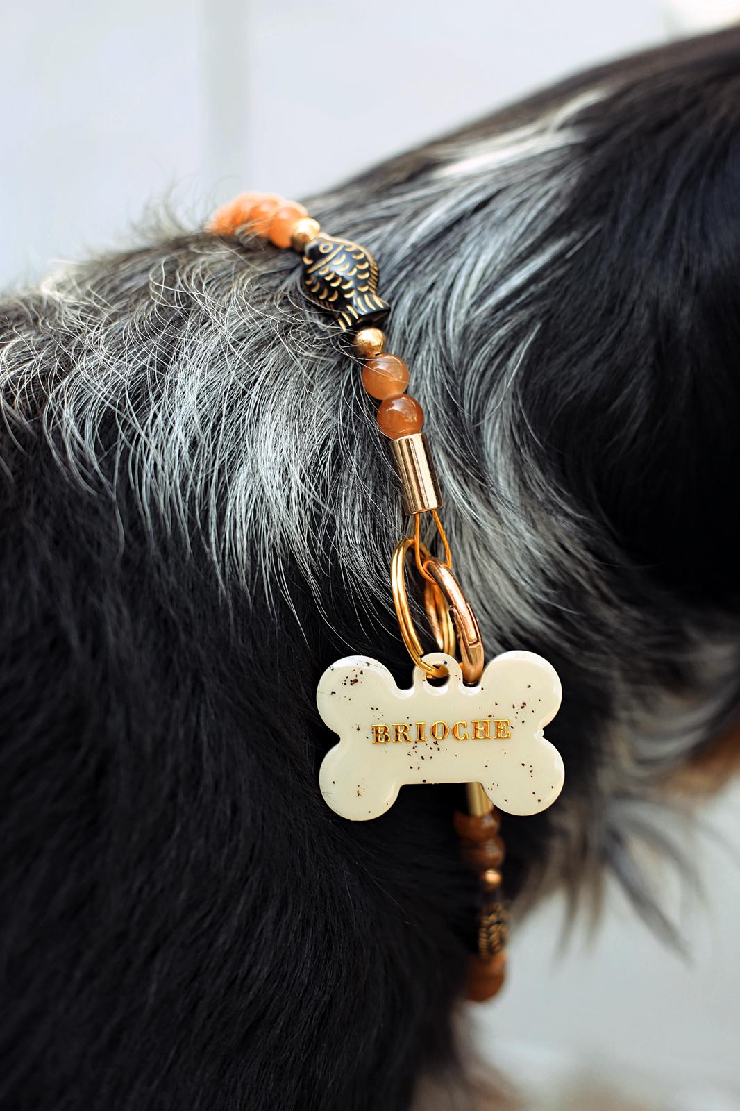 Collier porte médaille Marée Basse - Aura Necklaces