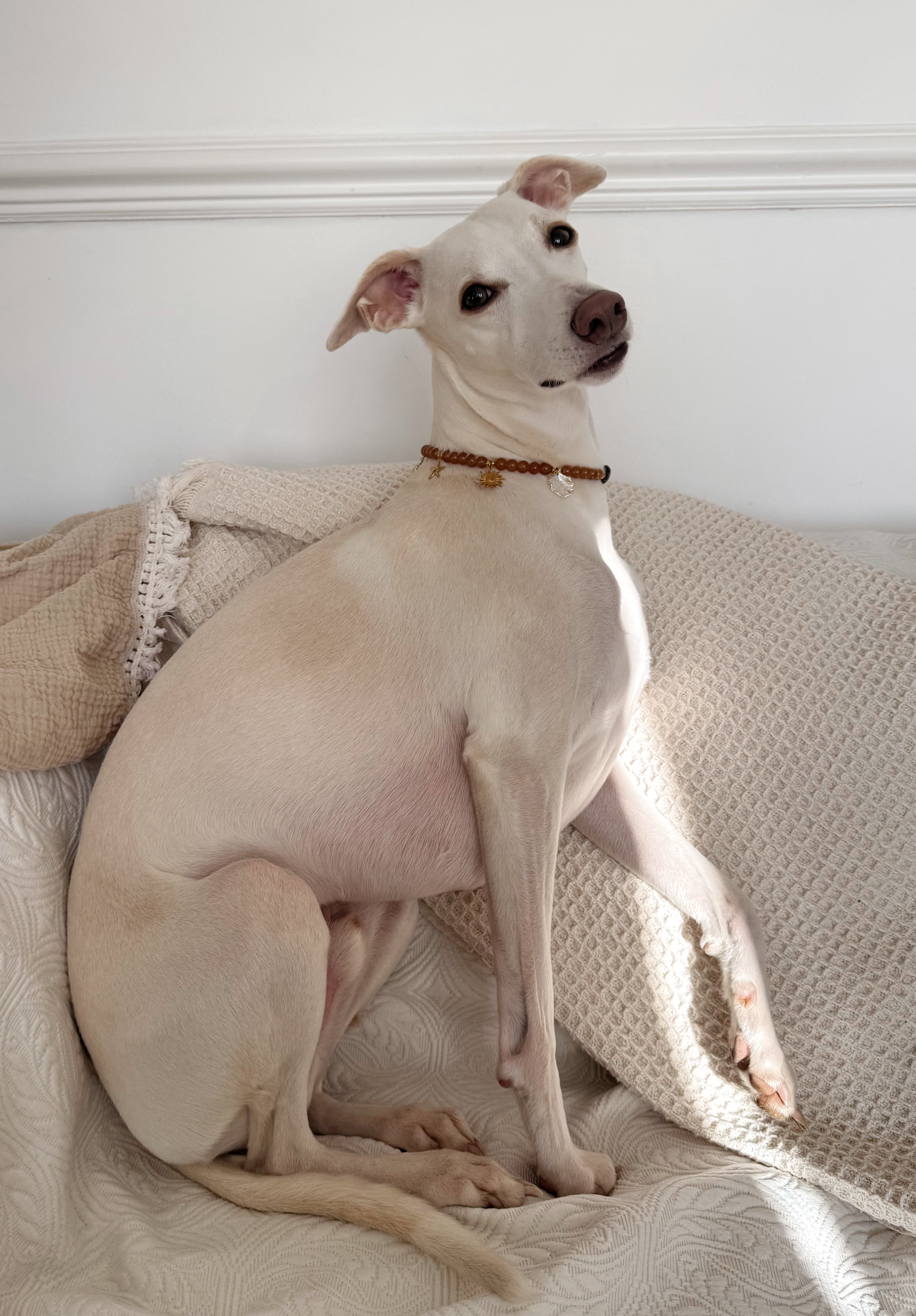 Collier porte médaille Marée Basse - Aura Necklaces