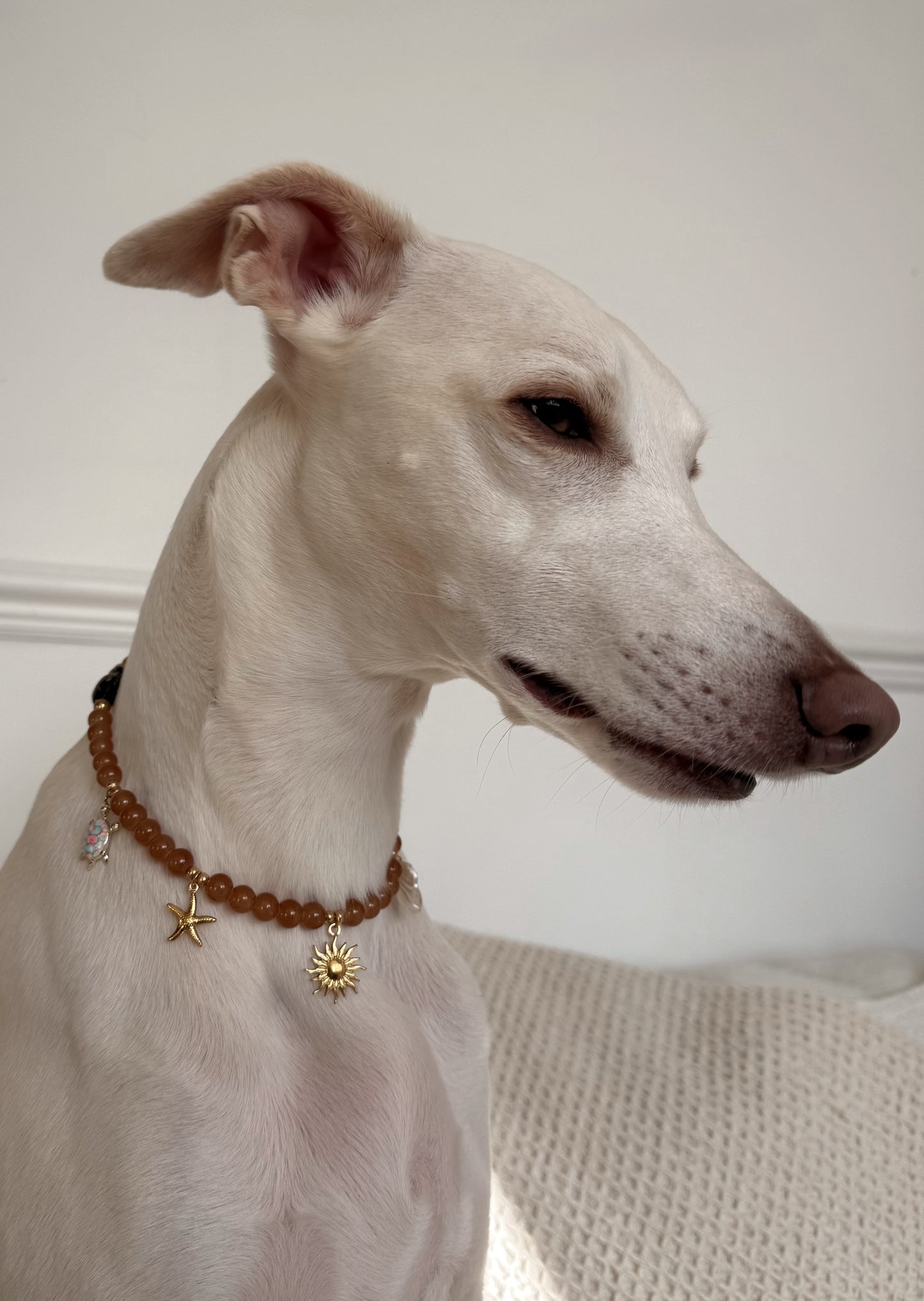 Low Tide Medallion Necklace - Aura Necklaces