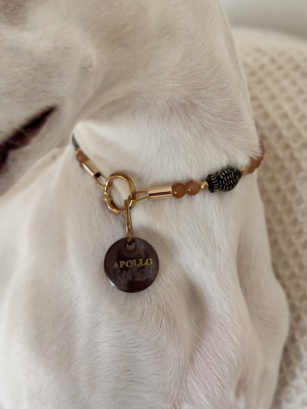 Collier porte médaille Marée Basse - Aura Necklaces