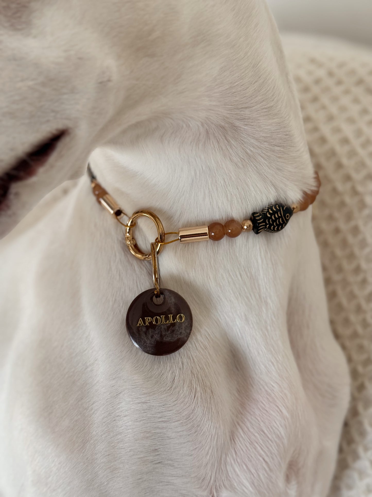 Low Tide Medallion Necklace - Aura Necklaces