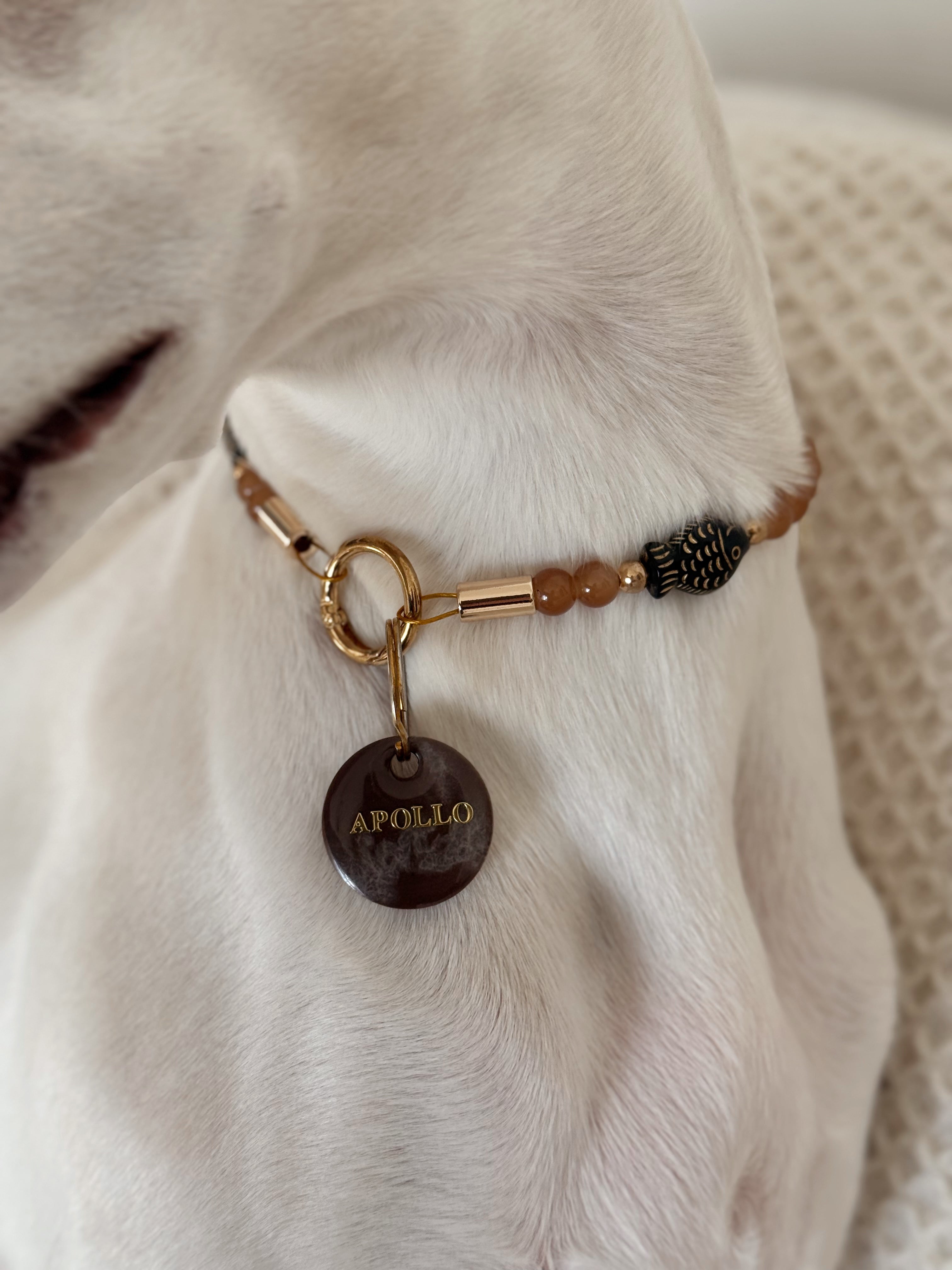 Collier porte médaille Marée Basse - Aura Necklaces